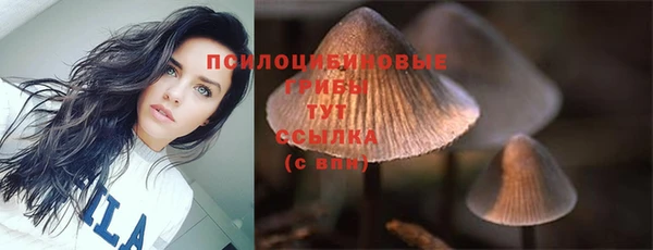 крисы Верея