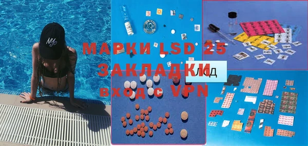 крисы Верея