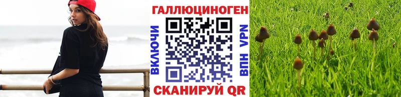 Псилоцибиновые грибы Psilocybe  цены наркотик  МЕГА как войти  Липки 
